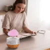 Mini Electric Aroma Humidifier 4