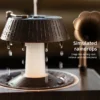 Rotating Raindrop Air Humidifier 4