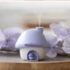 Colorful Mushroom Essential Humidifier 28