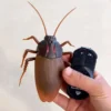 Robotic Cockroach Prank Toy 2