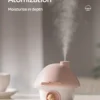 Colorful Mushroom Essential Humidifier 20